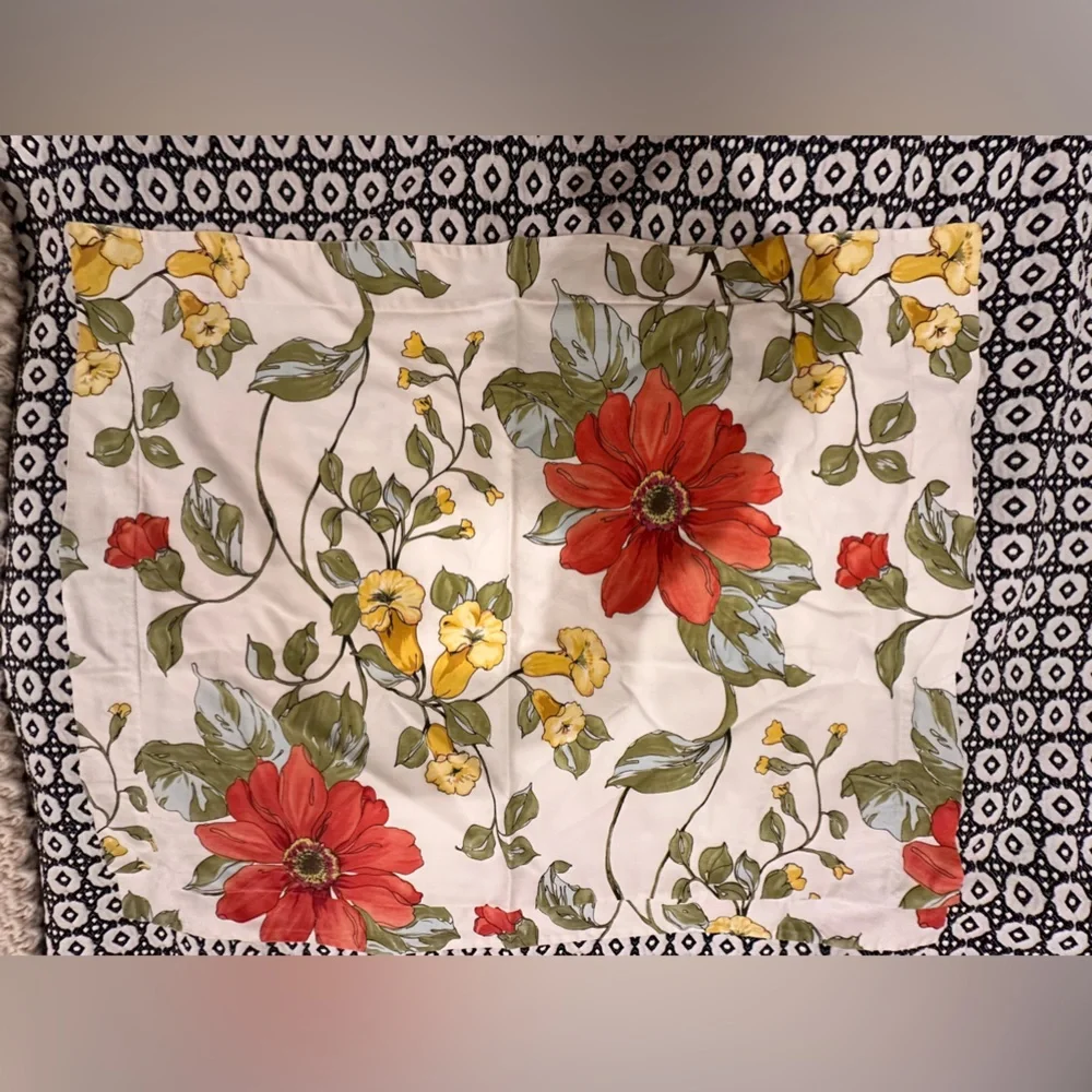 2 Pottery Barn Standard Shams